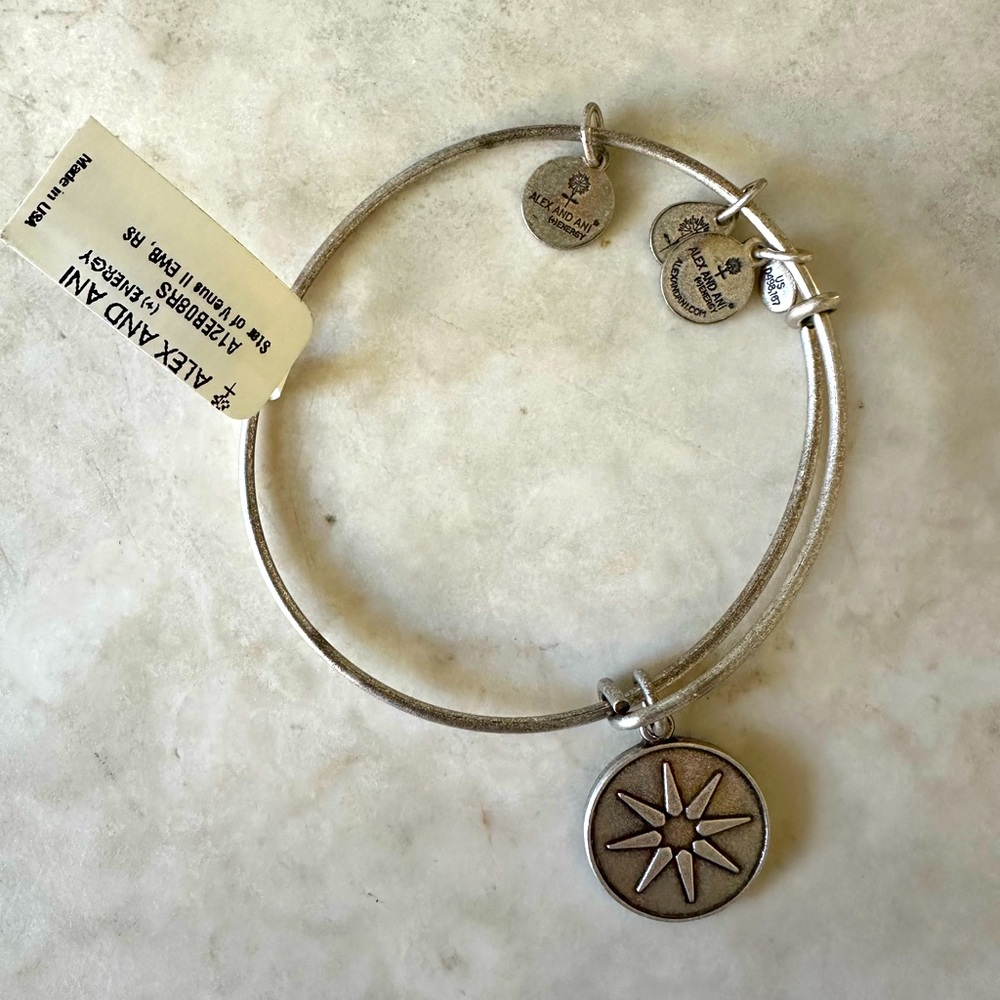 Alex and Ani charm bracelet